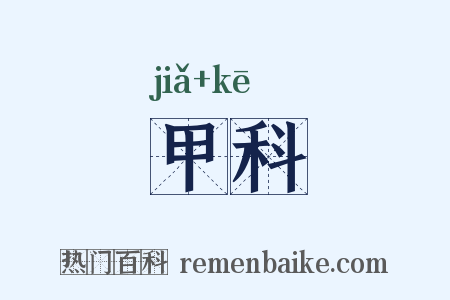 甲科是什么意思的图片